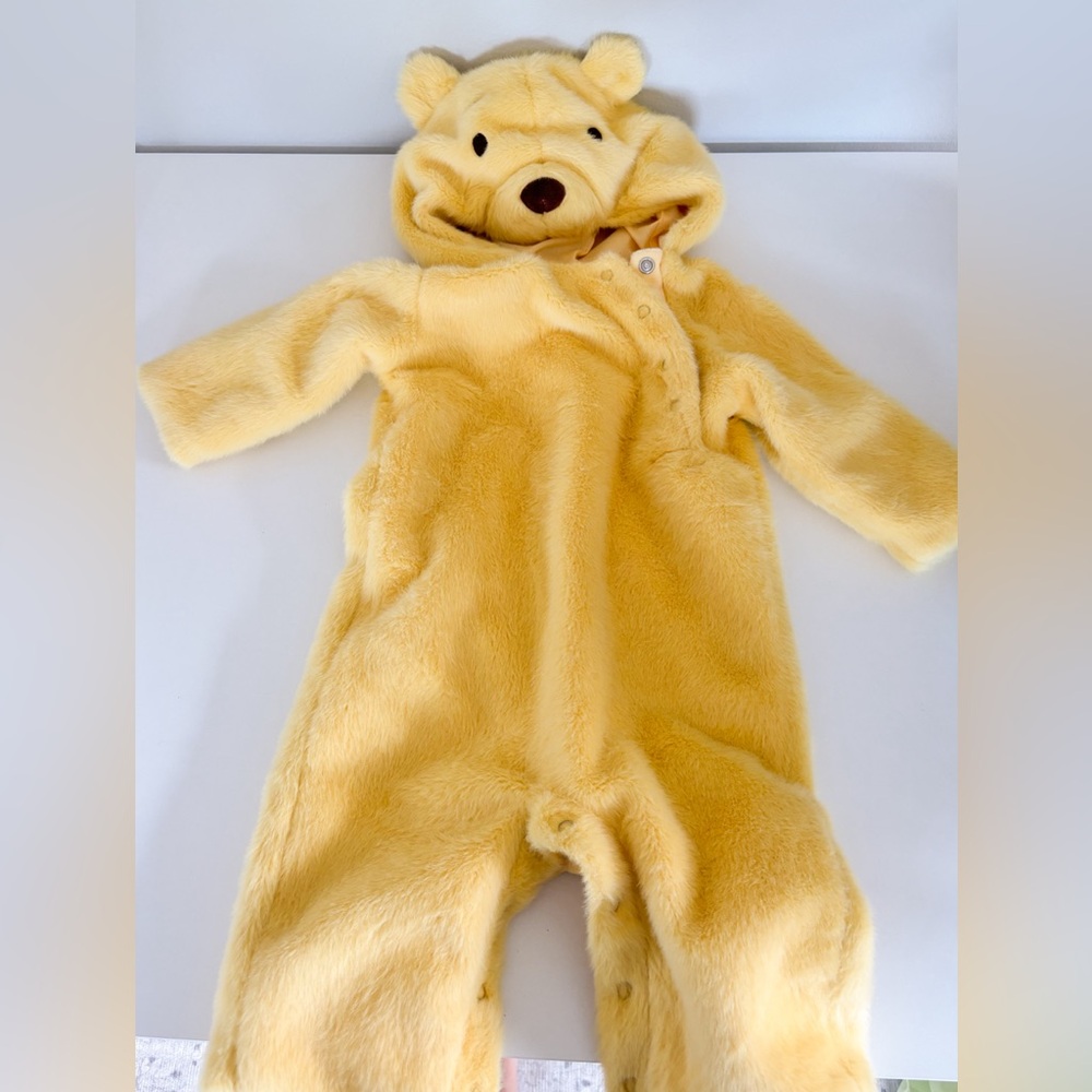 Pottery Barn Winnie the Pooh Costume